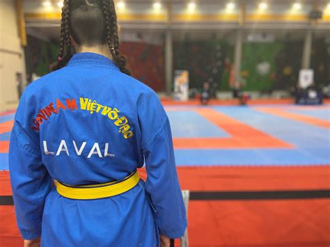 Technique Vovinam Viet Vo Dao Laval