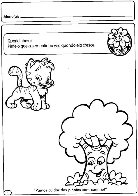 Atividades Sobre Plantas Educação Infantil