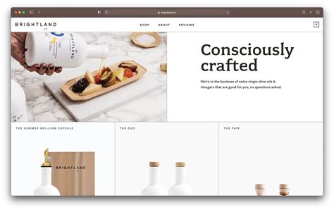 Best Shopify Website Design Examples For Inspiration 2023 Ecommerce