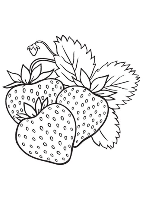 Strawberry Plant Coloring Pages