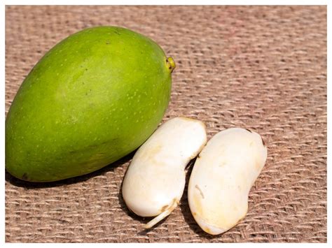 Benefits Of Mango Seeds Interesting Culinary Uses Of Mango Seeds