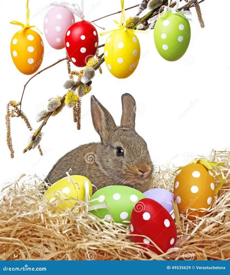 Little Cute Baby Rabbit And Painted Easter Eggs Stock Image Image Of