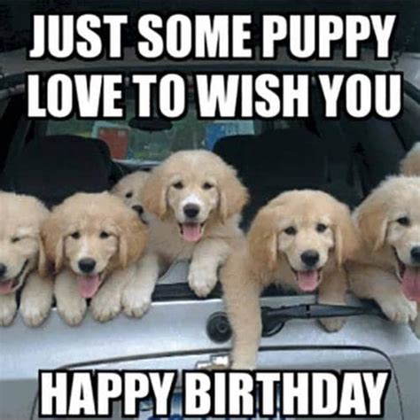 50 Funny Happy Birthday Dog Memes For Pooch Lovers