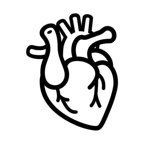 🫀 Coração Humano Emoji