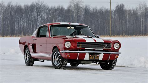 1966 Ford Shelby Mustang Gt350 Front View Amazing Mustangs