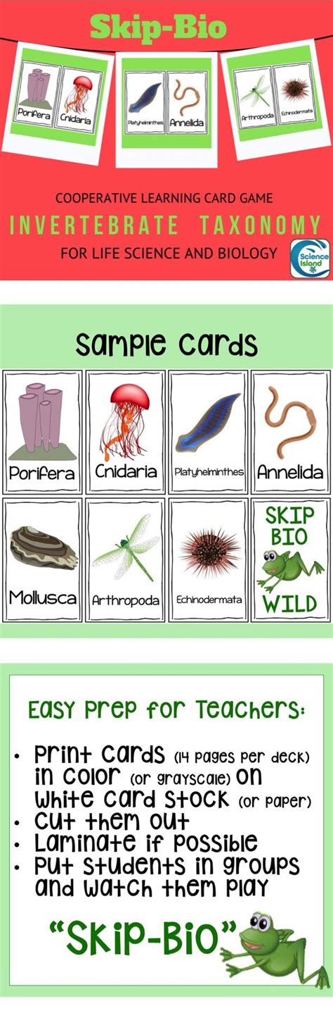 Invertebrate Taxonomy Skip Bio Card Game Secondary Science High
