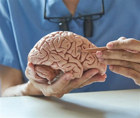 Neuropsychiatry Bridging Mind And Brain Health Awareness