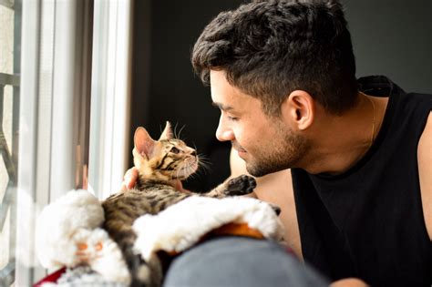 Women Find Single Men With Cats Less Dateable Than Those With Dogs