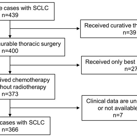 Flowchart For Patient Selection SCLC Small Cell Lung Cancer