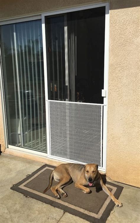 Then set the bottom of the screen onto the steel roller track of the patio door. 7 Best Dog-Proof Screen Doors 2020 Update: Dog-Friendly ...