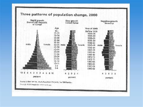 Population Pyramids And Demographic Transition Model 1 Population