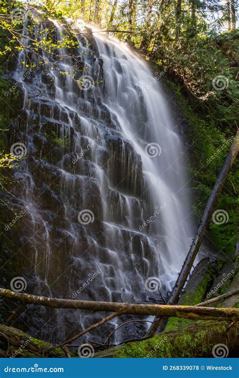 Long Exposure Shot Of The Waterfall In The Nature Stock Photo Image
