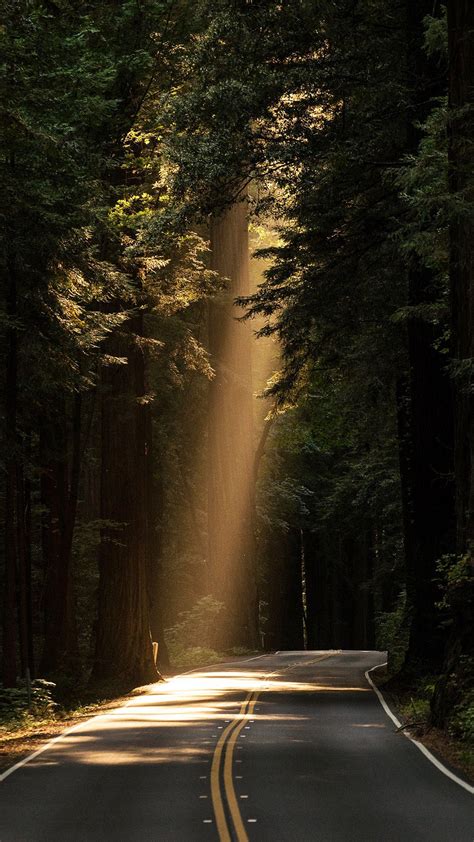 Rain Forest Road Wallpapers Wallpaper Cave