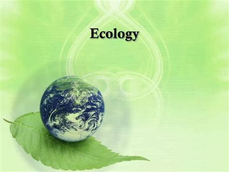 Ppt Ecology Powerpoint Presentation Free Download Id3153512
