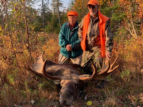 Maine Moose Hunting Guide Guided Maine Moose Hunts
