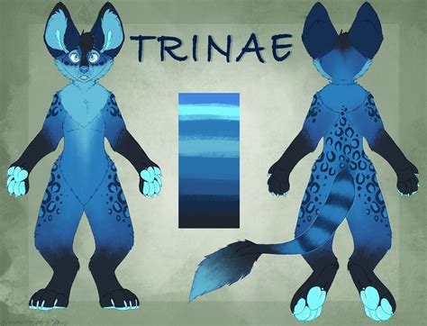 Front And Back Fursona Reference Sheet Fursuit Reference Etsy