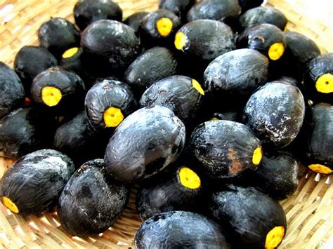 Check spelling or type a new query. Bingkisan Hati Mama Vie: Buah - Buahan Unik di Sarawak