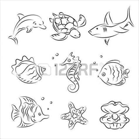 Sea Life Drawing At Getdrawings Free Download