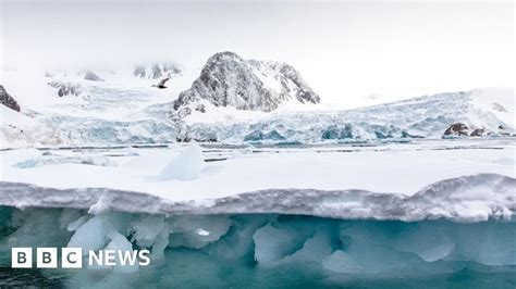 Climate Change Arctic Glaciers Shrinking By 300m Each Year Bbc News