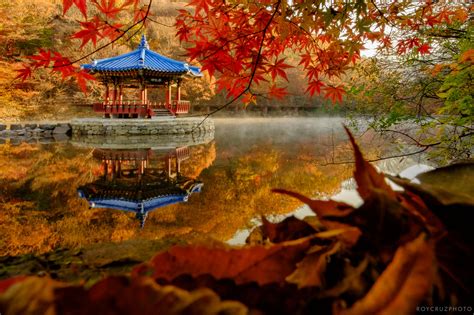 An Autumn Road Trip – Travel and Landscape Photography in Naejangsan