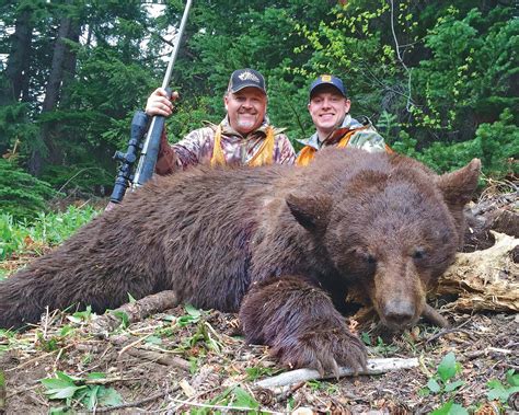 Reasons To Book A Spring Bear Hunt Huntin Fool