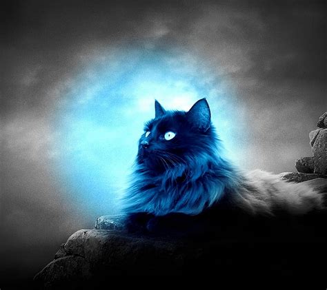 Glowing Cat Wallpaper