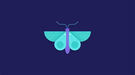 Butterfly Minimalism Wallpaper Hd Minimalist 4k Wallpapers Images And