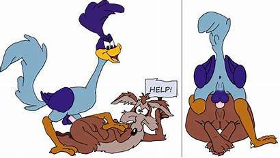 Roadrunner Looney Wile Tunes Warner Avian Blush