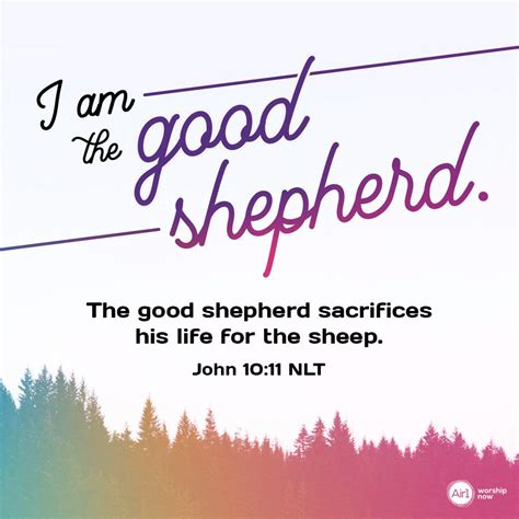I Am The Good Shepherd The Good Shepherd Sacrifices His Life For The