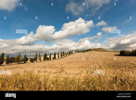 Italy Tuscany Val Dorcia Rolling Landscape Stock Photo Alamy
