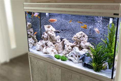 6 Beautiful Home Aquariums That Are Swimming In Style