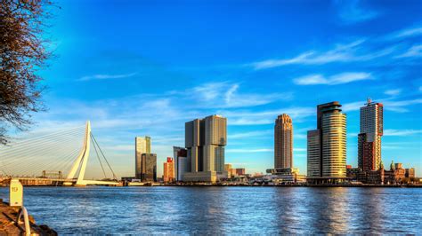 Rotterdam Una Città In Gran Forma Dove Viaggi