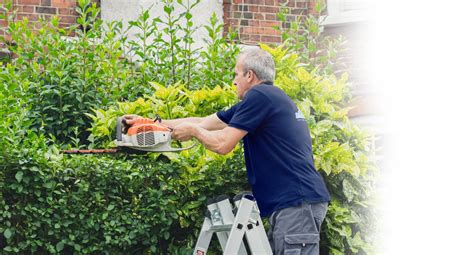 Garden Maintenance In London Fantastic Services