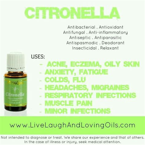 17 Best Images About Citronella Young Living On Pinterest Citronella
