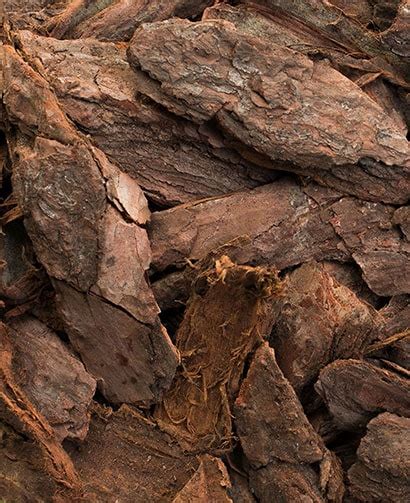 Large Pine Bark Nuggets Gaston Mulch And Soil 4 5 Pine Bark Nuggets