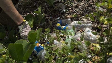 How Does Littering Affect The Environment And Our Health Clean Cans