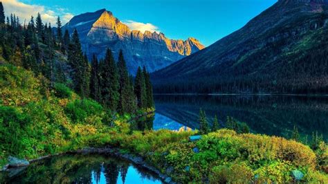 Beautiful Real Nature Images Download Explore Quality Nature Pictures
