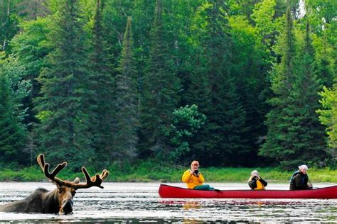 10 Best Canadian Shield Tours And Trips 20242025 Tourradar