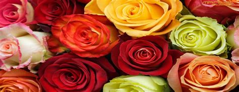 The Meaning Behind Valentines Day Roses Skips Florist