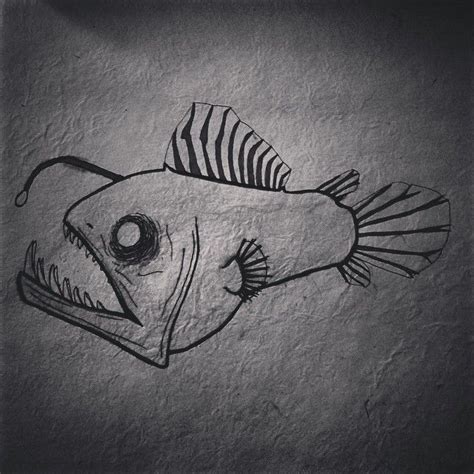 Angler Fish Drawing At Explore Collection Of