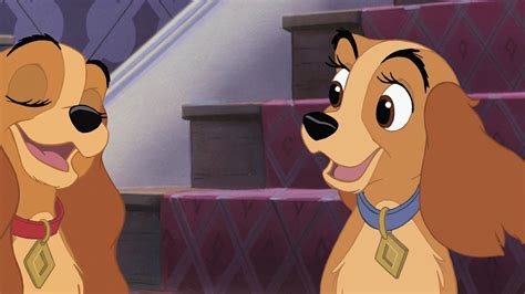 Lady And The Tramp Ii Scamps Adventure Images And Screencaps Fancaps