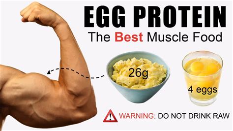 5 Reasons Eggs Are The Best Muscle Building Food 10 Scientific