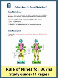 Rule Of Nines For Burns Child And Chart Calculator Definition