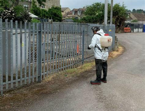 Using Herbicides To Protect Our Flood Defences From Invasive Plants Creating A Better Place