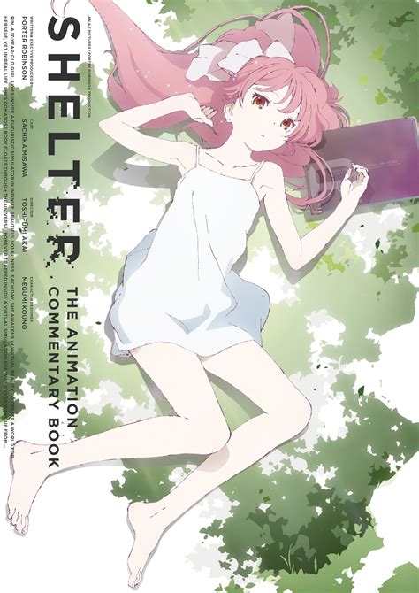 Shelter The Animation Commentary Book Comics Graphic Novels And Manga