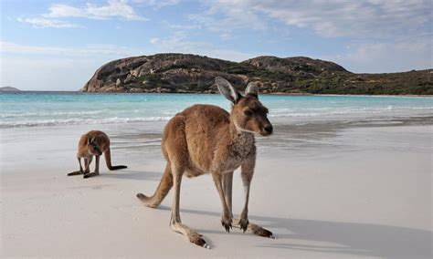 Australien von mapcarta, die freie karte. Die schönsten Strände in Australien - hier ist das Paradies