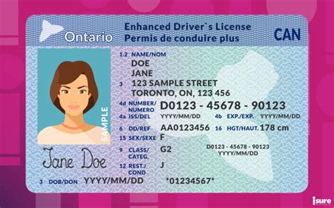 Ontario Drivers Licences Everything You Need To Know Isureca