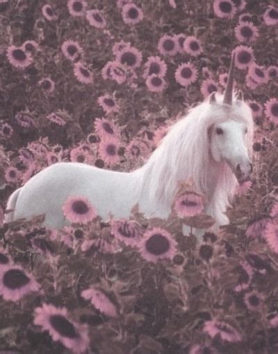 Pin By Ginny Mastro On Me Unicorn Pictures Unicorn Aesthetic