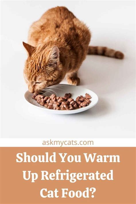 How To Warm Up Refrigerated Cat Food Can You Microwave Cat Food