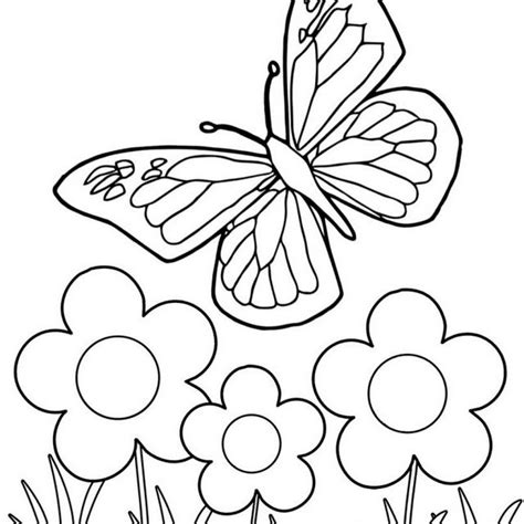 Coloring Pages For Girls Butterfly